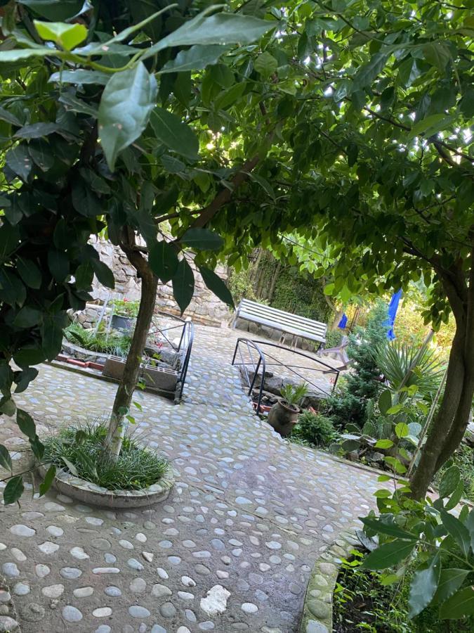Holiday House Chkonia Hotel Batumi Luaran gambar