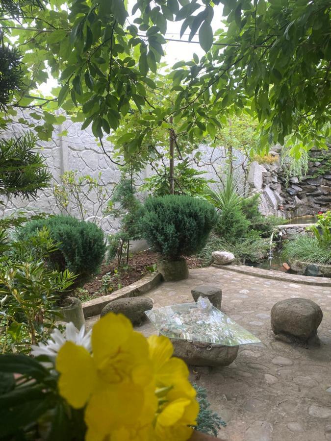 Holiday House Chkonia Hotel Batumi Luaran gambar