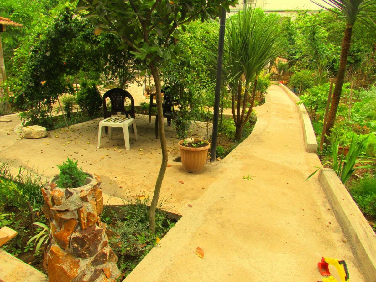 Holiday House Chkonia Hotel Batumi Luaran gambar