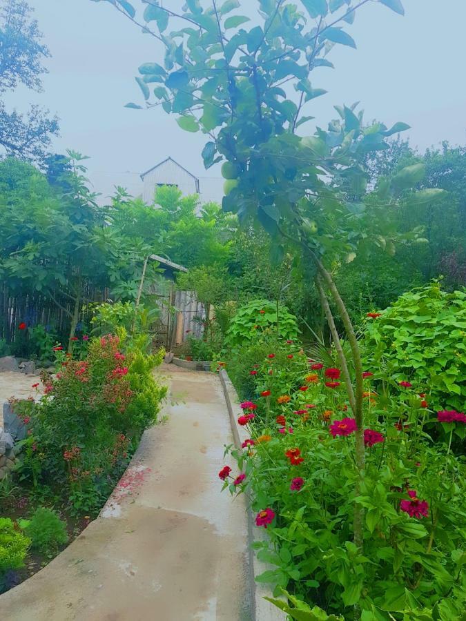 Holiday House Chkonia Hotel Batumi Luaran gambar